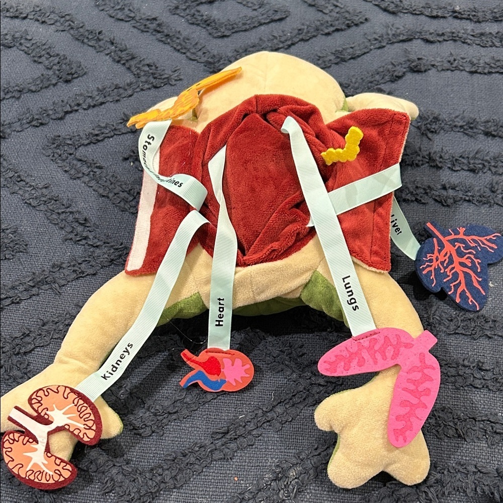 Stuffed Dissection Frog - Picture 4 of 4